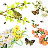 Servietten 33x33 cm Spring awakening Vogel Schmetterlinge...