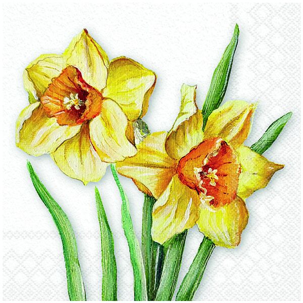 Servietten 33x33 cm Flowering daffodils Osterglöckchen