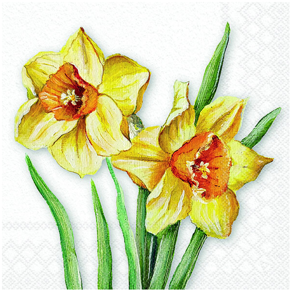 Servietten 33x33 cm Flowering daffodils Osterglöckchen