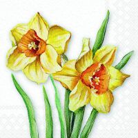 Servietten 33x33 cm Flowering daffodils Osterglöckchen