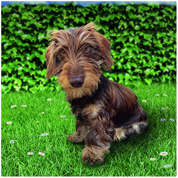 Servietten 33x33 cm Toon kleiner Hund