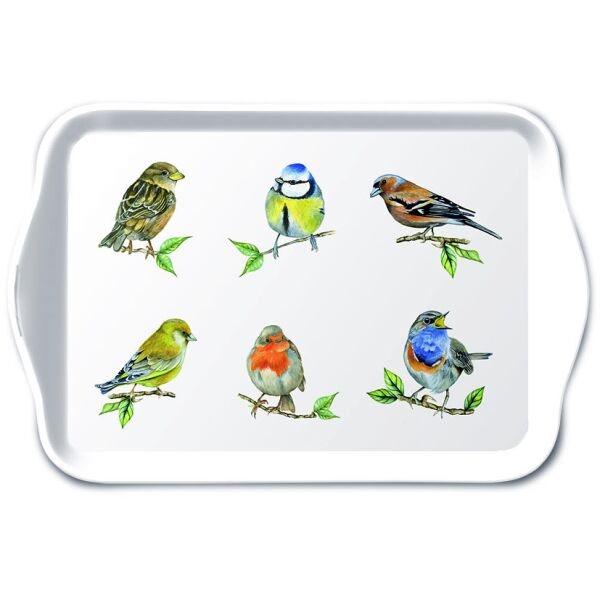 A Tablett 13x21 cm Bird species white Vogelarten
