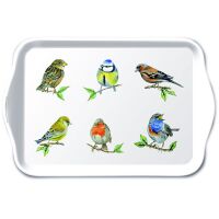 A Tablett 13x21 cm Bird species white Vogelarten