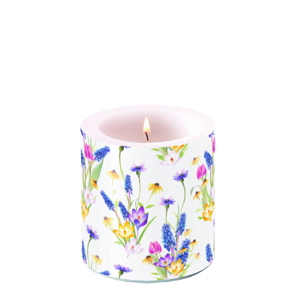 A Kerze klein Hello spring Frühlingsblumen