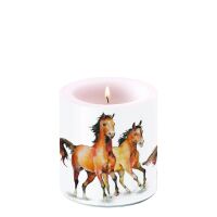 Kerze klein Wild horses -- Wildpferde