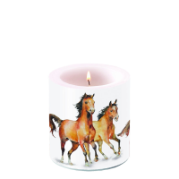 Kerze klein Wild horses -- Wildpferde