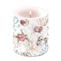 Kerze medium Sea animals Meerestiere