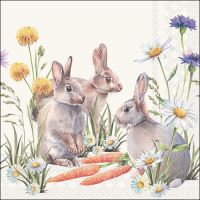 Ostern Servietten 33x33 cm Carrot treats Hasen
