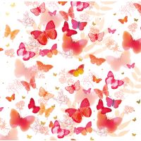Geschenkpapier  Röllchen 70 x 150 cm Schmetterlinge