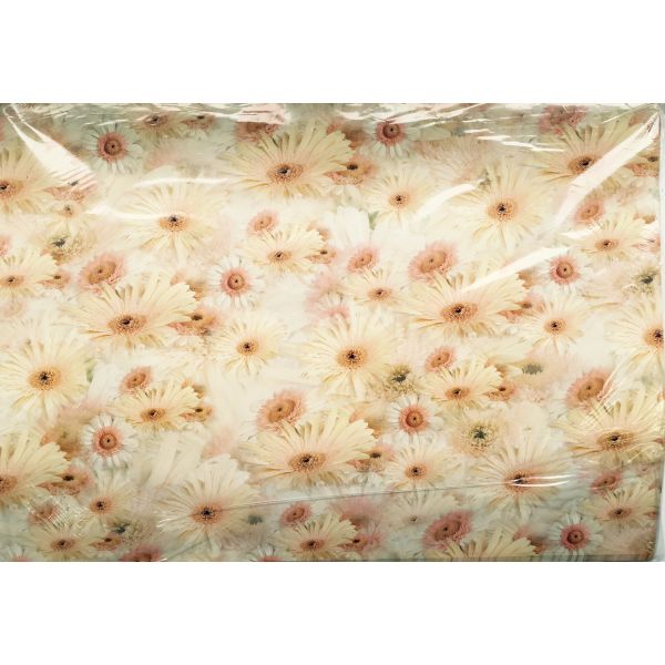 Geschenkpapier-Bögen Blumen -  25 Bögen 100x70cm UVP: € 1,95 - Bundle 2023