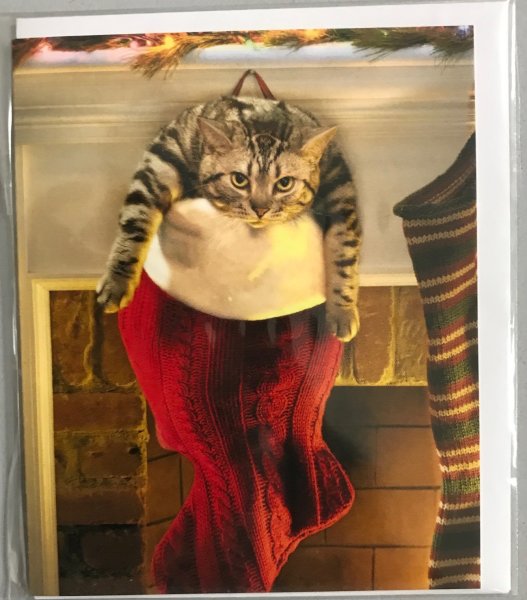 Weihnachten - Mini-Karte - 6,5 x 8cm mit Briefumschlag - Katze