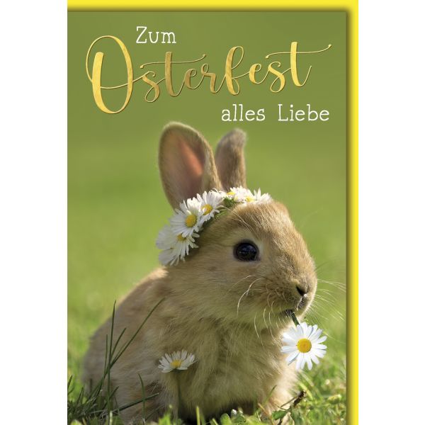 Ostern Karte mit Umschlag Hase mit Gänseblümchen