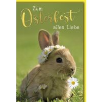 Ostern Karte mit Umschlag Hase mit Gänseblümchen