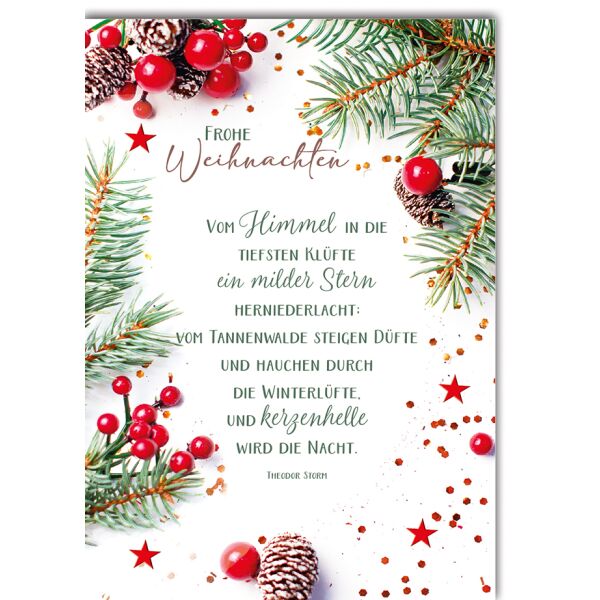 Weihnachten Zweige Gedicht Theodor Storm Weihnachtskarte mit Umschlag Vom Himmel in die tiefsten Klüfte