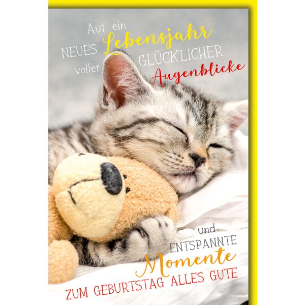 Geburtstag Karte mit Umschlag Kätzchen und Bär