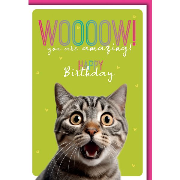 Geburtstag Karte mit Umschlag Katze mit WOW!