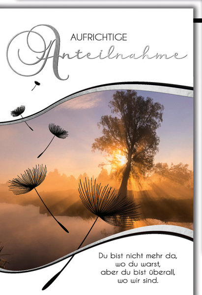 Trauer - Beileid - Kondolenzkarte mit Umschlag - Aufrichtige Anteilnahme, Spruch und Pusteblumen