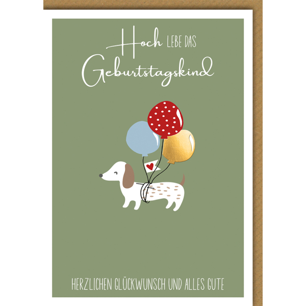 Hallmark Geburtstags-Notizkarten Sortiment – 48 Blanko-Karten Mit Umschlägen, Motive Hunde, Kerzen, Luftballons
