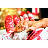 Weihnachten Ohne Text Fotokarte mit Briefumschlag...