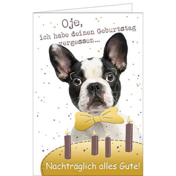 Geburtstag verspätet nachträglich - Glückwunschkarte mit Umschlag - Hunda Geburtstag vergessen