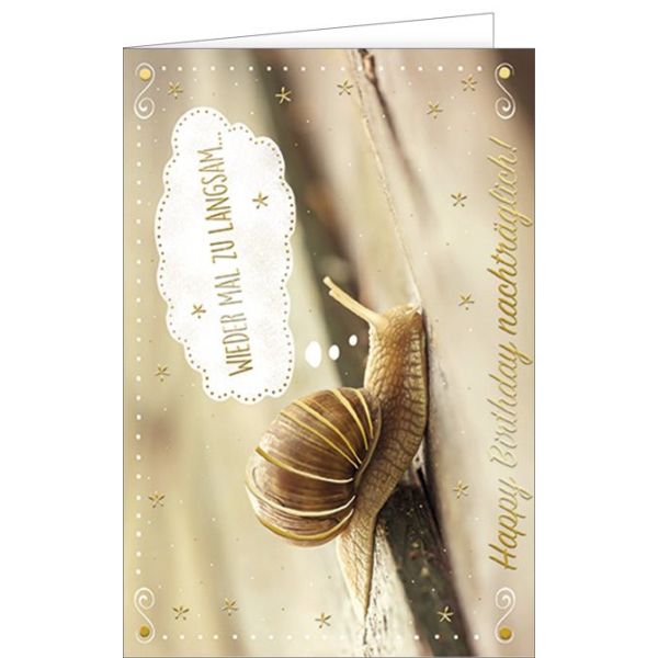 Geburtstag verspätet nachträglich - Glückwunschkarte mit Umschlag - Schnecke Geburtstag zu langsam