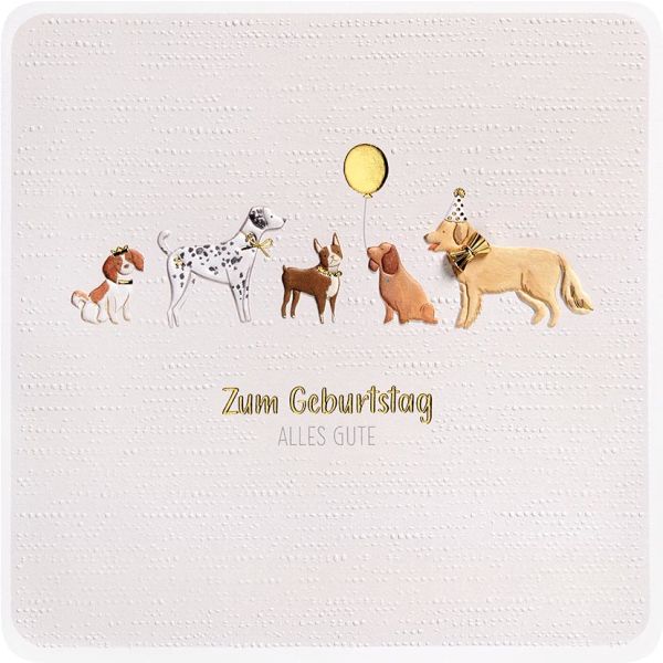 Geburtstag Finest Collection quadratische unverpackte Glückwunschkarte mit Umschlag Zum Geburtstag alles Gute Hunde