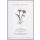 Trauer Beileid FEELINGS Collection unverpackte Trauerkarte mit Umschlag Blumen Applikation Aufrichtige Anteilnahme
