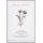 Trauer Beileid FEELINGS Collection unverpackte Trauerkarte mit Umschlag Blumen Applikation Aufrichtige Anteilnahme