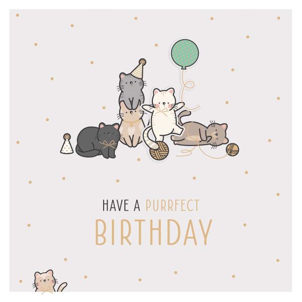 Geburtstag Feelings Quadratische unverpackte Glückwunschkarte mit Umschlag Katzen Birthday Applikation