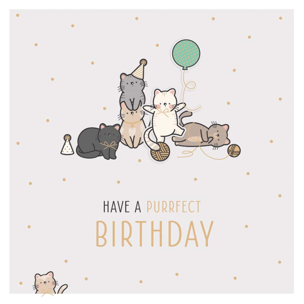 Geburtstag Feelings Quadratische unverpackte Glückwunschkarte mit Umschlag Katzen Birthday Applikation