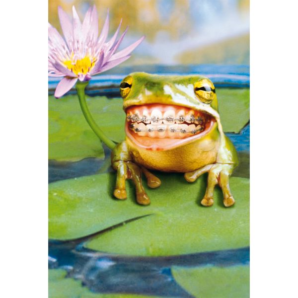 Geburtstag Glückwunschkarte mit Umschlag - Avanti - Frosch mit Zahnspange