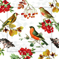 Herbst Servietten Cocktail 25x25 cm 3-lagig 20 Servietten...