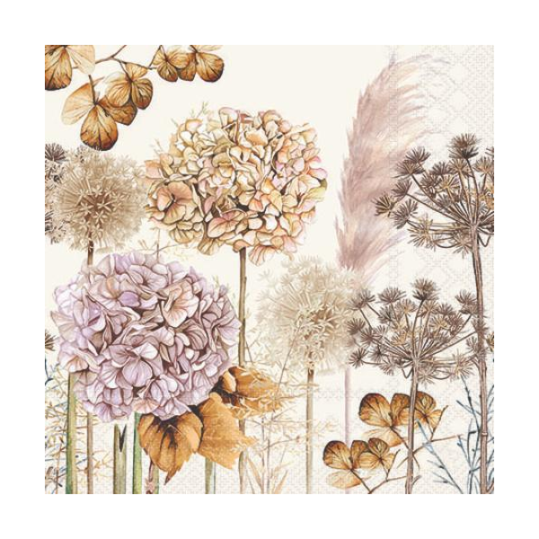 Herbst Servietten Cocktail 25x25 cm 3-lagig 20 Servietten Dried flowers Blumen getrocknet