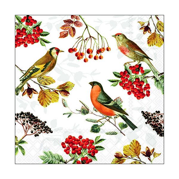 Servietten Lunch 33x33 cm 3-lagig 20 Servietten Autumn birds Vögel Vogelarten Herbst
