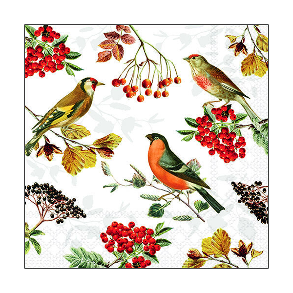 Servietten Lunch 33x33 cm 3-lagig 20 Servietten Autumn birds Vögel Vogelarten Herbst
