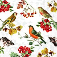 Servietten Lunch 33x33 cm 3-lagig 20 Servietten Autumn...