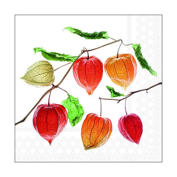 Herbst Servietten Lunch 33 x 33 cm 3-lagig 20 Servietten Lampion flower