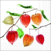 Herbst Servietten Lunch 33 x 33 cm 3-lagig 20 Servietten...