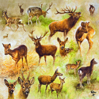 Servietten Lunch 33x33 cm 3-lagig 20 Servietten Collage...