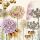 Herbst Servietten Lunch 33 x 33 cm 3-lagig 20 Servietten getrocknete Blumen Dried flowers