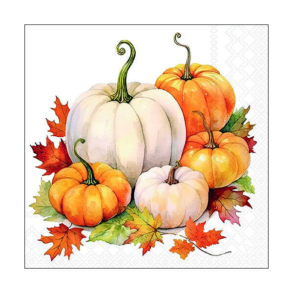 Herbst Servietten Lunch 33 x 33 cm 3-lagig 20 Servietten Kürbisse Pumpkin season