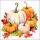 Herbst Servietten Lunch 33 x 33 cm 3-lagig 20 Servietten Kürbisse Pumpkin season