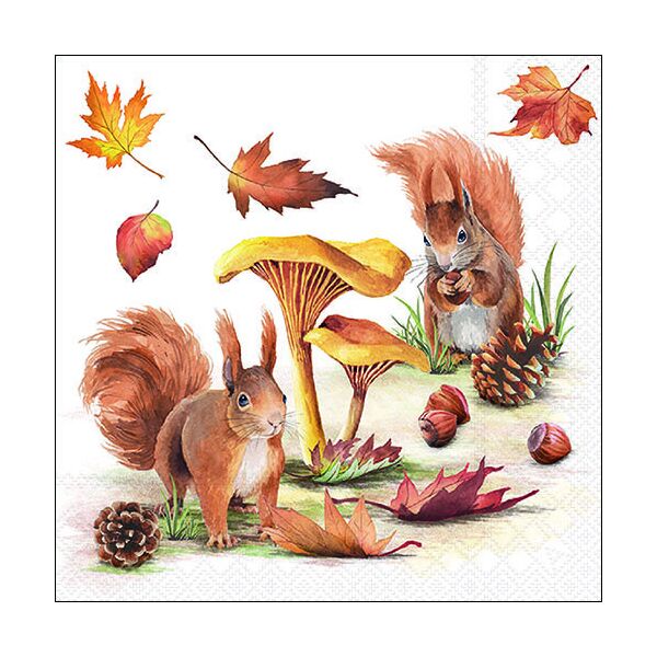 Servietten 33x33 cm 3-lagig 20 Servietten Squirrels go nuts