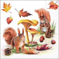 Servietten 33x33 cm 3-lagig 20 Servietten Squirrels go nuts