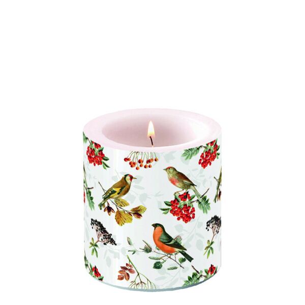 A-2026 Kerze klein Ø 7,5 cm x 9 cm Autumn birds Herbstvögel Brenndauer 35 Stunden