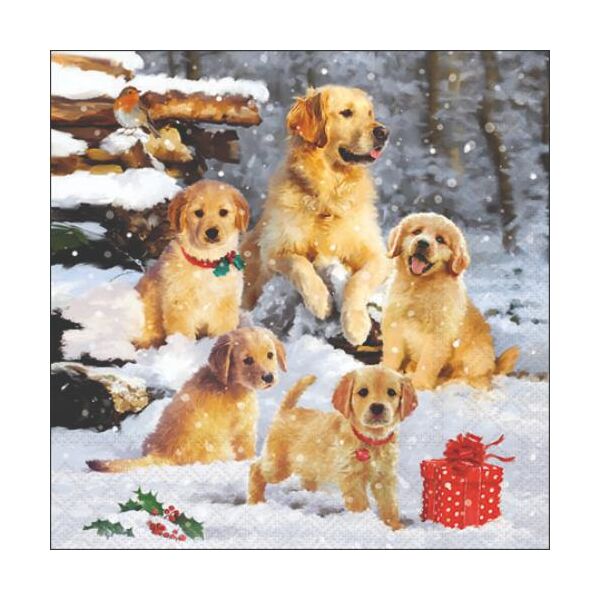 Weihnachten Cocktail Servietten 25x25 cm 3-lagig 20 Servietten Golden retriever puppies Hunde