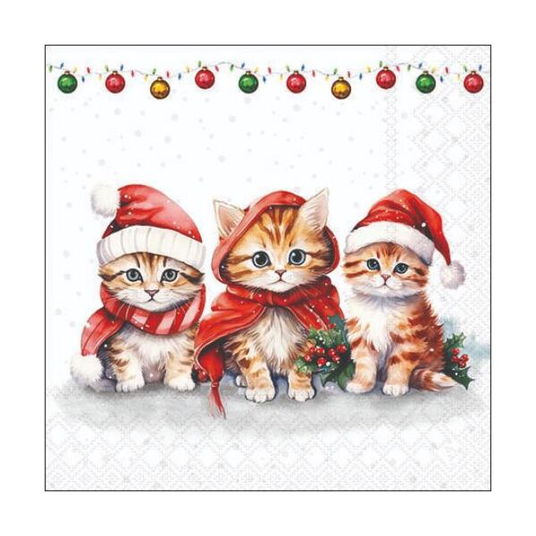 Weihnachten Cocktail Servietten 25x25 cm 3-lagig 20 Servietten Funny cute kittens Kitten mit Weihanchtsmützen