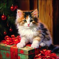 Weihnachten Servietten 33x33 cm 3-lagig 20 Servietten Molly