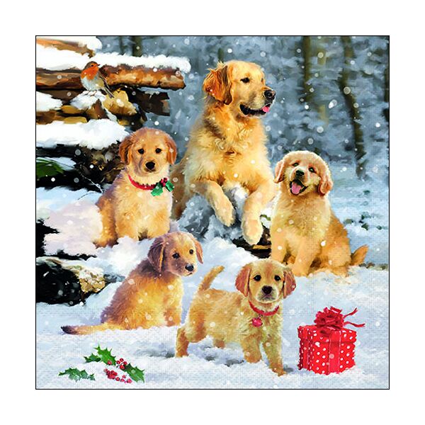 Weihnachten Servietten 33x33 cm 3-lagig 20 Servietten Golden retriever puppies