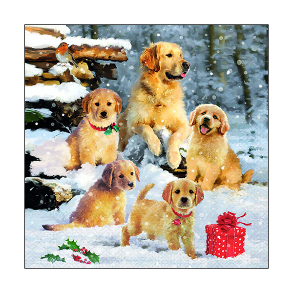 Weihnachten Servietten 33x33 cm 3-lagig 20 Servietten Golden retriever puppies